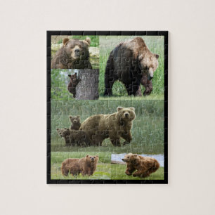 Puzzle de l'ours
