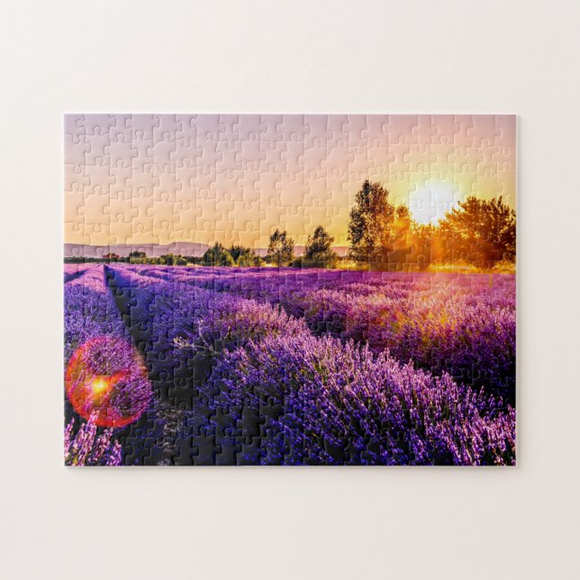 Puzzle de lunettes de soleil de champ de lavande p (Horizontal)