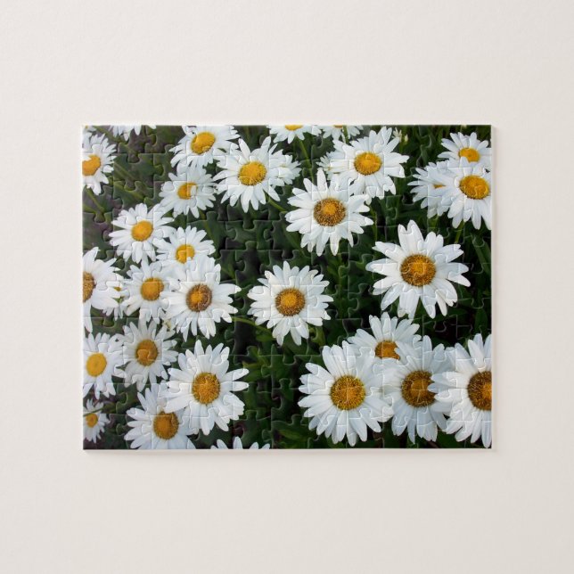 Puzzle de marguerite (Horizontal)