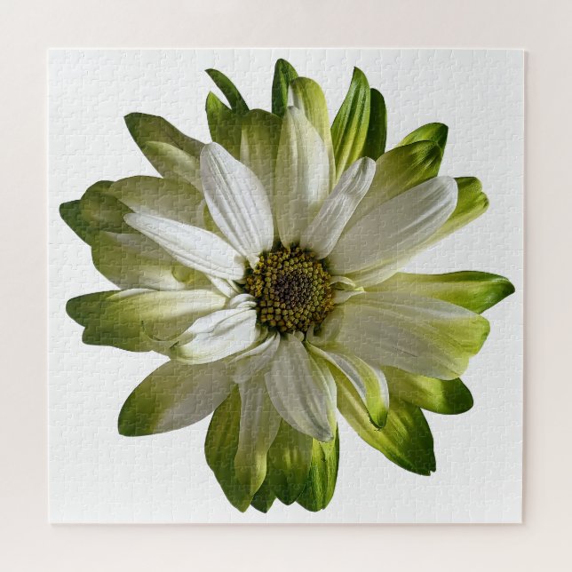 Puzzle de marguerite verte (Horizontal)