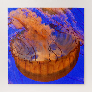 Puzzle de méduse orange Art de la vie marine océ