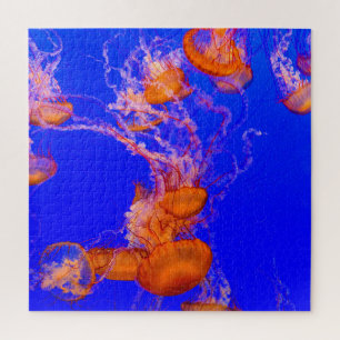 Puzzle de méduse orange Vie marine de l'océan bl