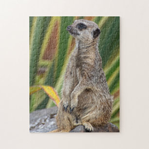 Puzzle de Meerkat Jigsaw