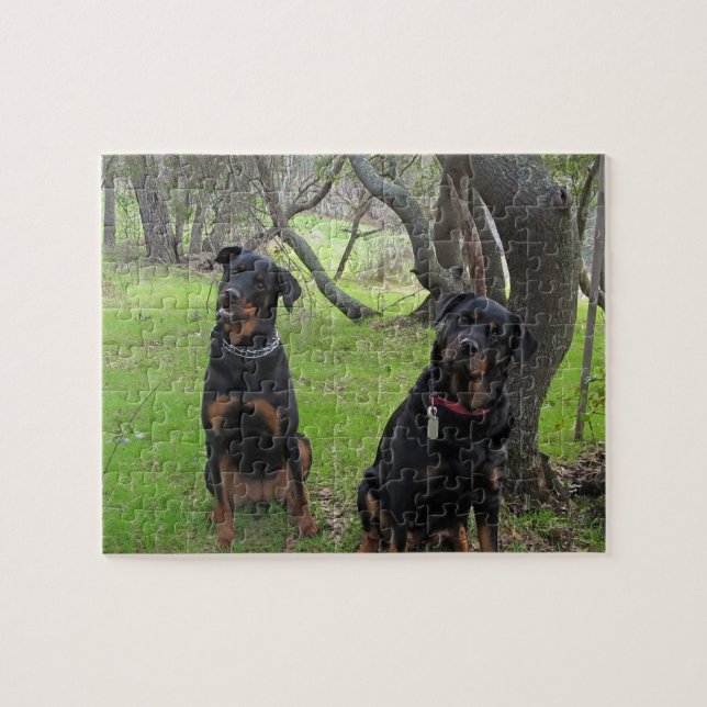 Puzzle de mère et de fille de rottweiler (Horizontal)