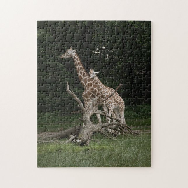 Puzzle de mère et de veau de girafe (Vertical)