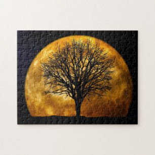 Puzzle de minuit de Pleine lune