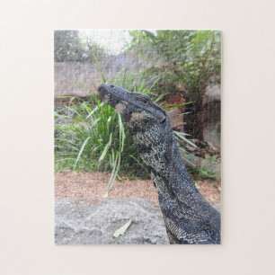 Puzzle de moniteur de dentelle
