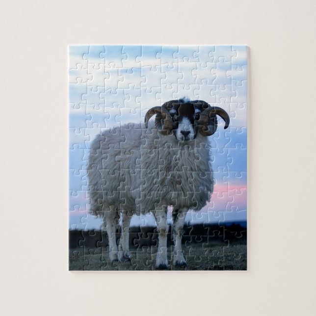 Puzzle de mouton avec tin (Vertical)