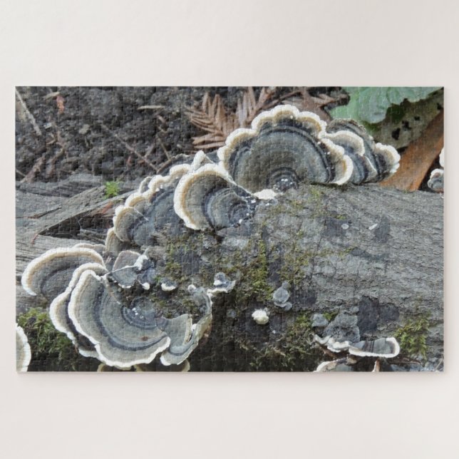 Puzzle de mycélium de Polypore versicolore (Horizontal)