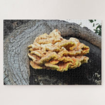 Puzzle de mycélium de Poulet de Bois Géant
