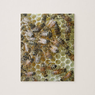 Puzzle de nid d'abeilles