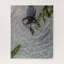 Puzzle de Nouvelle-Zélande - Seal pup Wharariki