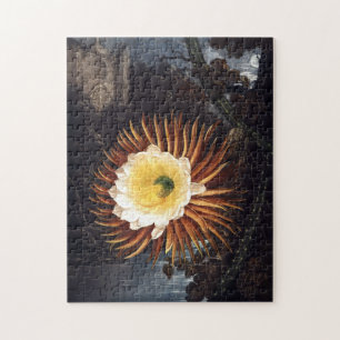 puzzle de Nuit-floraison de cierge