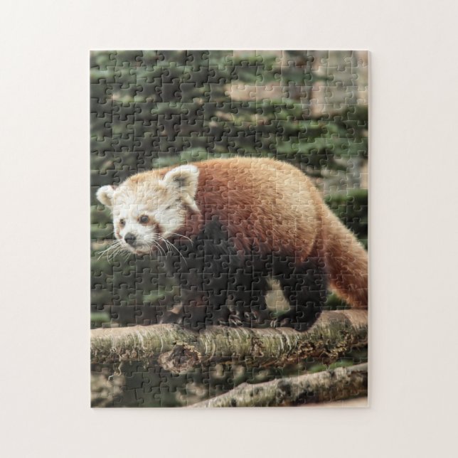 Puzzle de Panda (Vertical)