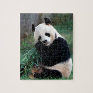 Puzzle de panda