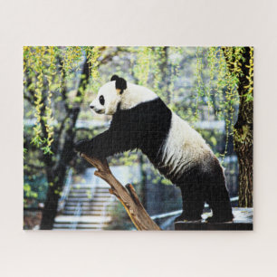 Puzzle de Panda