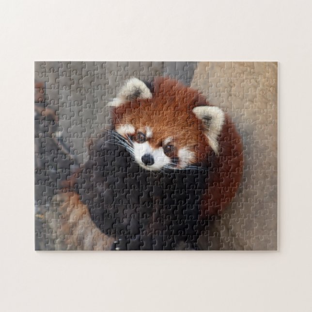 Puzzle de Panda rouge (Horizontal)
