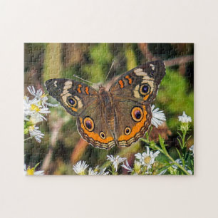 Puzzle de papillon commun