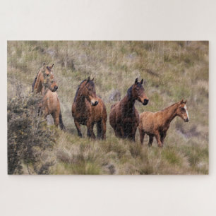Puzzle de paysage de chevaux sauvages