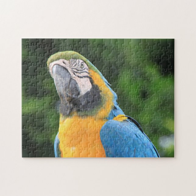 Puzzle de perroquet (Horizontal)