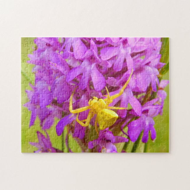 Puzzle de photo d'araignée crabe jaune avec boîte  (Horizontal)