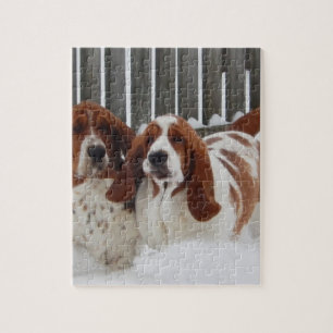 Puzzle de photo de Basset Hound 8x10 avec le  d