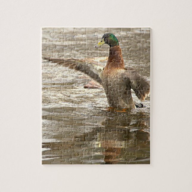 Puzzle de photo de canard colvert (Vertical)