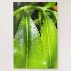 Puzzle de photo de feuilles vertes tropicales