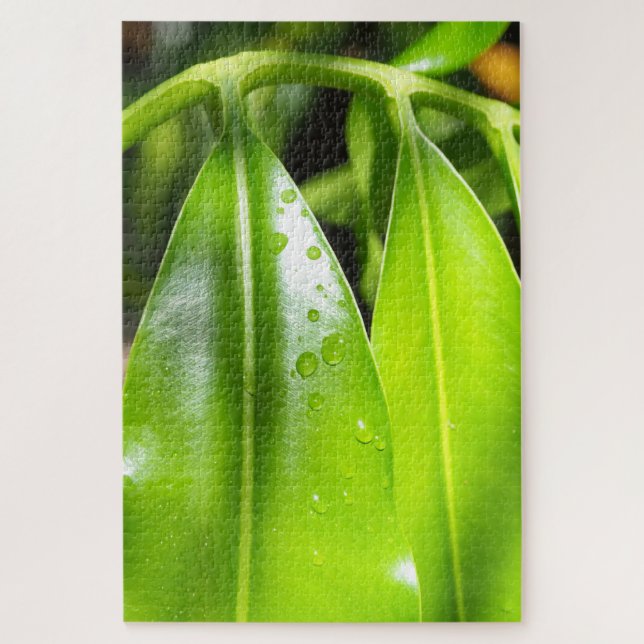 Puzzle de photo de feuilles vertes tropicales (Vertical)