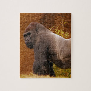 Puzzle de photo de gorille de Silverback