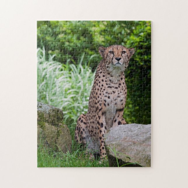 Puzzle de photo de guépard (Vertical)