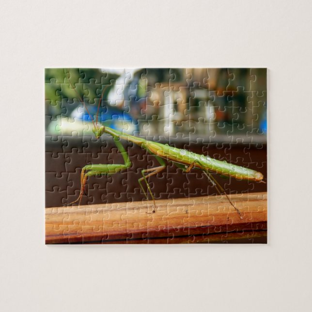 Puzzle de photo de mante de prière avec la (Horizontal)