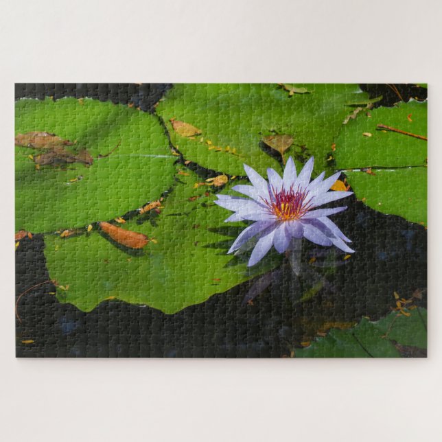 Puzzle de photo de nénuphar (Horizontal)