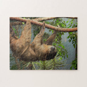 Puzzle de photo de paresse