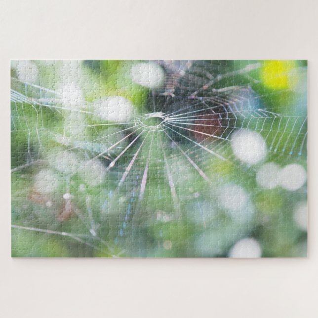 Puzzle de photo de toile d'araignée (Horizontal)