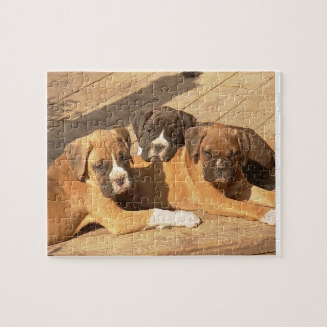Puzzle de photo des chiots 8x10 de boxeur avec (Horizontal)