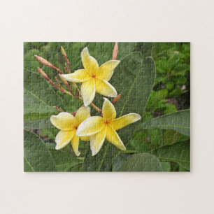 Puzzle de photographie de fleurs tropicales de Plu