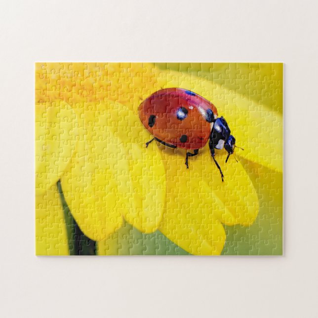Puzzle de photos de fleurs jaunes de Ladybug (Horizontal)
