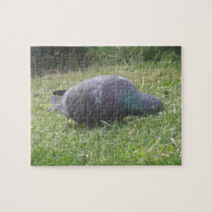 Puzzle de pigeon couchant