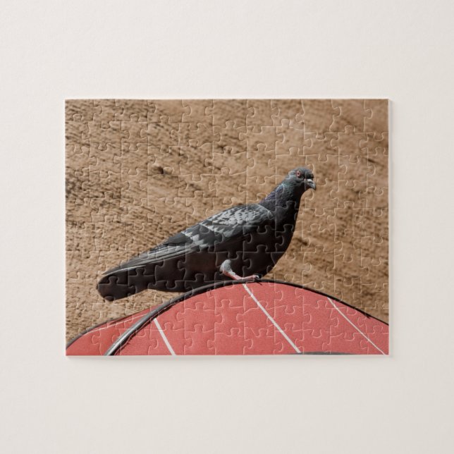 Puzzle de pigeon de ville (Horizontal)