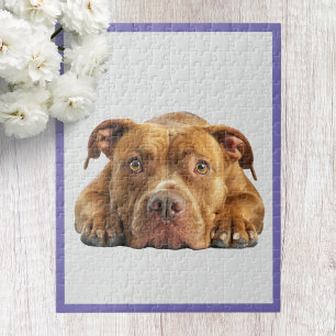 Puzzle de Pitbull en Pièces
