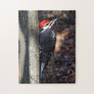 Puzzle de pivert de Pileated