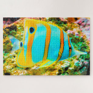 Puzzle de poissons tropicaux