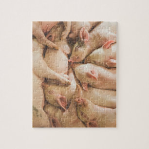 Puzzle de porcelets