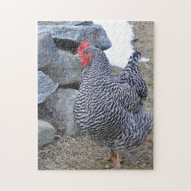 Puzzle de poulet (Vertical)