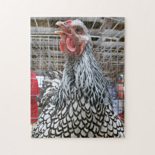 Puzzle de poulet gagnant de prix