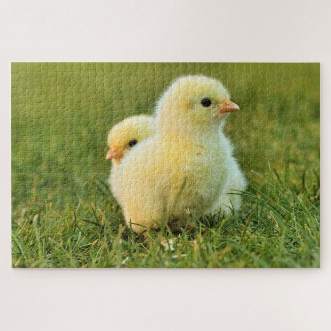 Puzzle de poulet pour bébé (Horizontal)