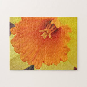 Puzzle de printemps de jonquille orange jaune