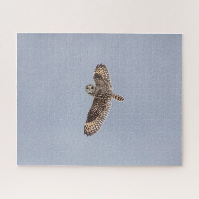 Puzzle de puzzle de hibou à courte portée (Horizontal)