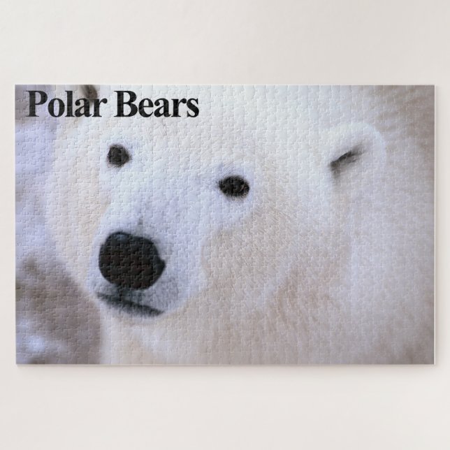 Puzzle de puzzle de l'ours polaire (Horizontal)